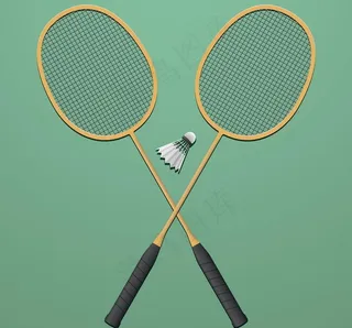 羽毛球图片