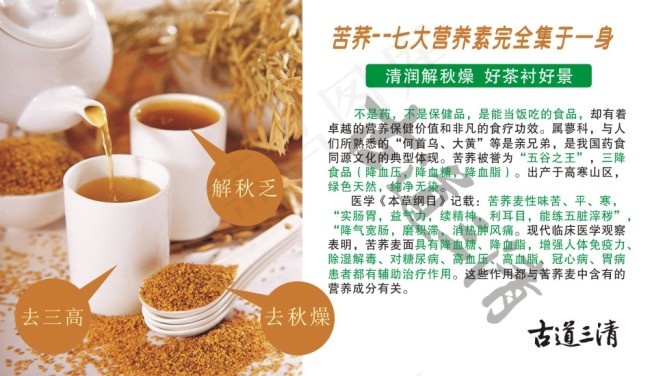 苦荞茶的功效及作用cdr矢量模版下载