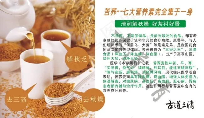 苦荞茶的功效及作用cdr矢量模版下载