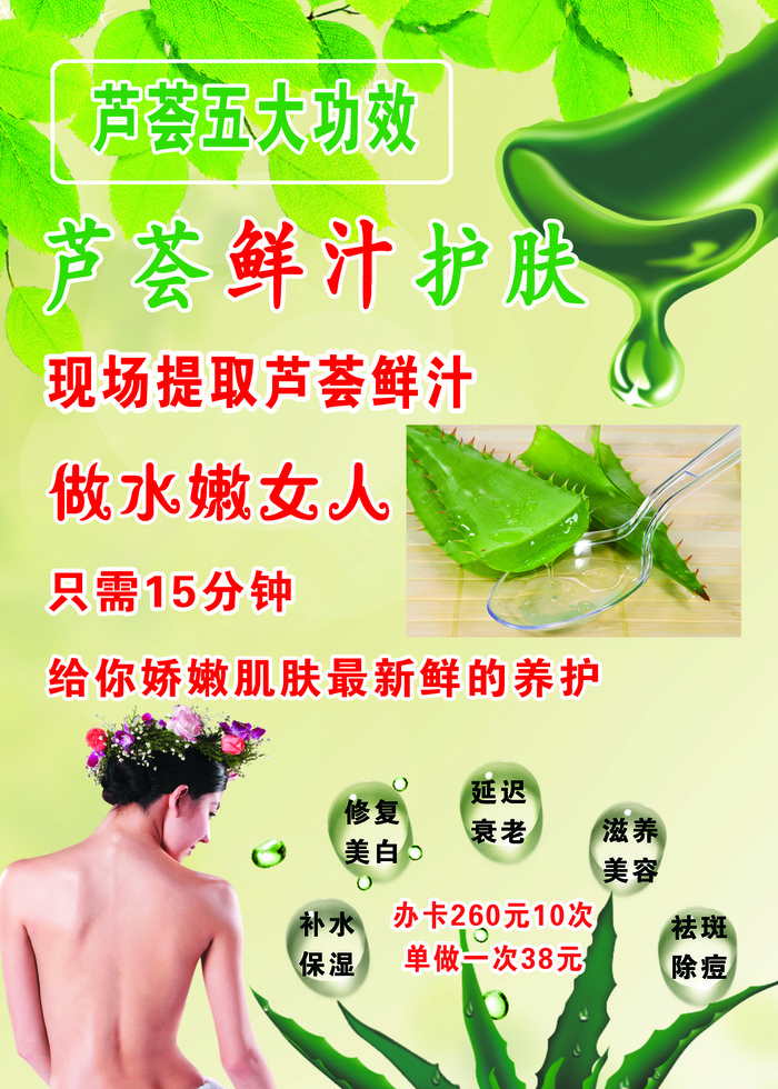 芦荟的五大功效psd模版下载