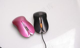 紫色鼠标黑色鼠标图片
