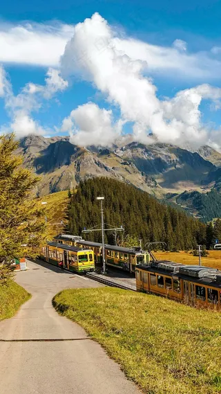 旅游观光车高清摄影图片 (3)