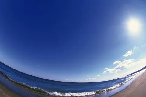 烈日下的海滩图片