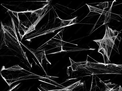 59款破旧蜘蛛网超清PS笔刷