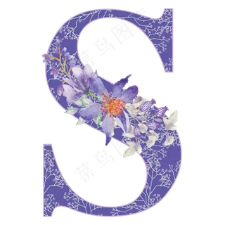 字母s 字母s