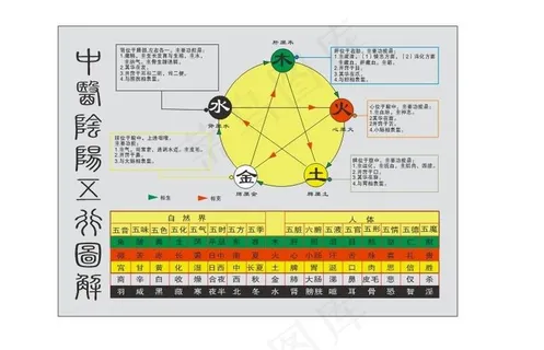 中医阴阳五行图图片