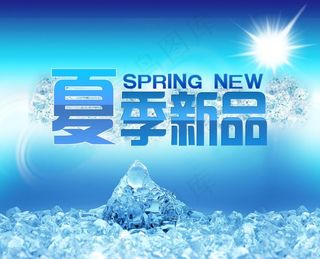 夏季新品图片