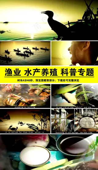 渔业水产养殖科普专题讲座视频