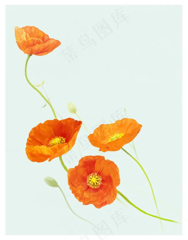 精美黄色花PSD分层图(3697X4724(DPI:300))psd模版下载