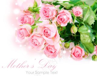 母亲节玫瑰花图片