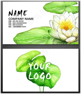 手绘荷花名片