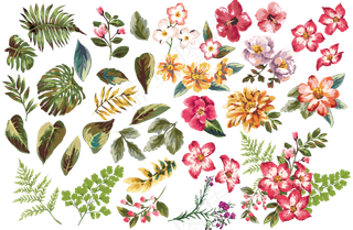 矢量手绘水彩花朵花纹透明背景素材