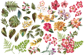 矢量手绘水彩花朵花纹透明背景素材