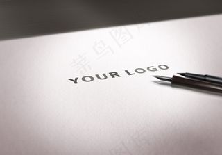 logo展示模板 样机素材