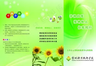 学校三折页图片