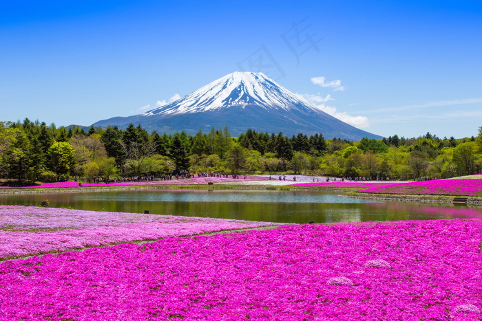 富士山图片