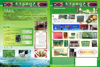 巴马特产宣传单