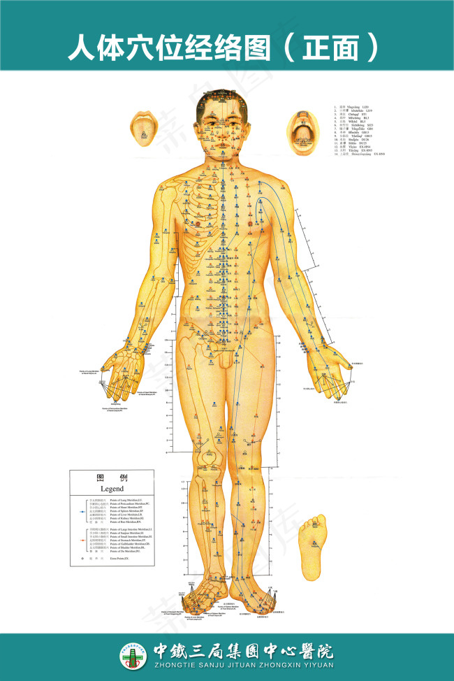 中医人体穴位经络图psd模版下载