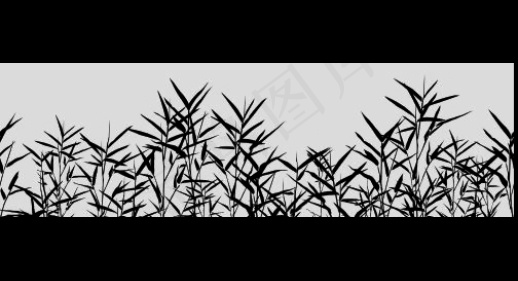 植物视频素材展示