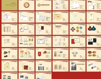 成都双语实验学校vi设计图片