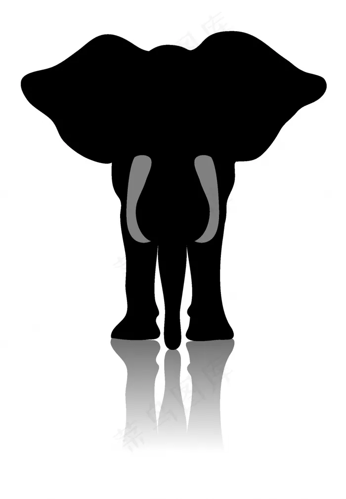 非洲象的前面ai矢量模版下载