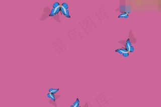 蝴蝶飞舞flash动画