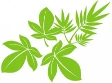 矢量树叶02eps,ai矢量模版下载