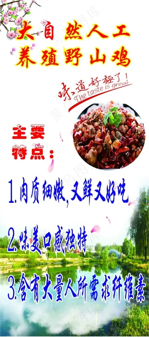 白色田园风野山鸡跑山鸡展架