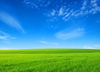 美丽蓝天白云麦田风景