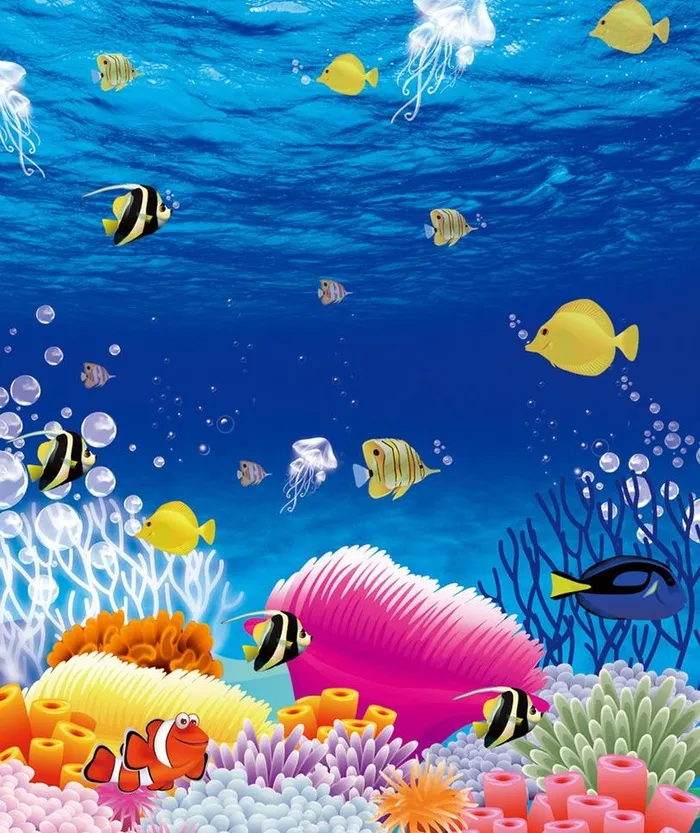 海底世界图片(4677X5896(DPI:72))psd模版下载