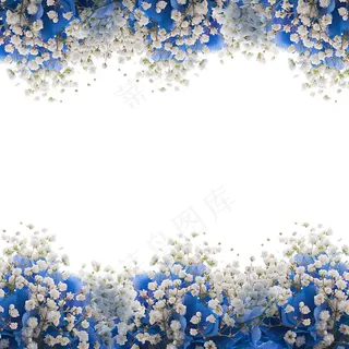 紫色满天星鲜花边框图片