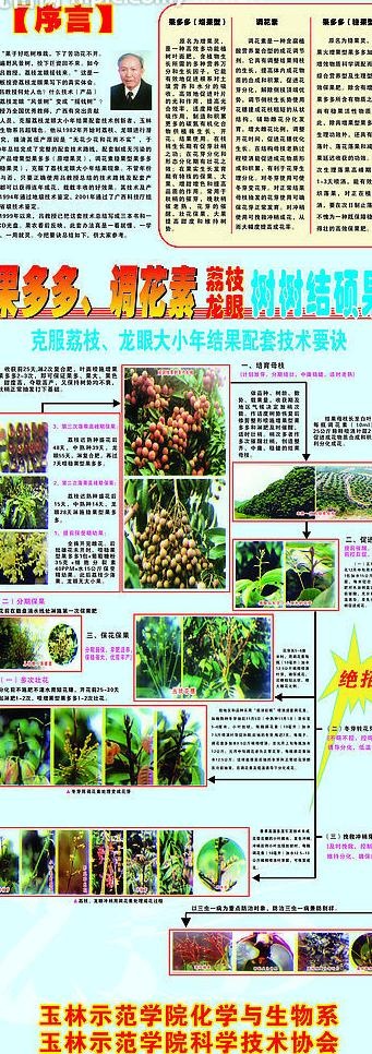 华生系生物易拉宝图片cdr矢量模版下载