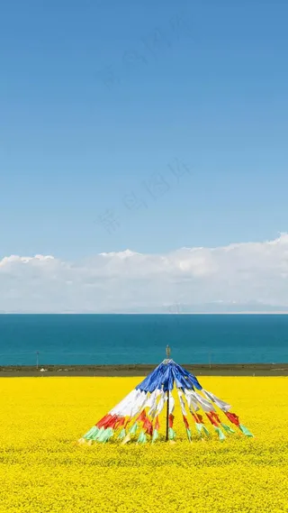 海边上的花海高清摄影图片