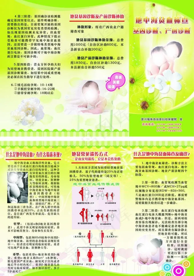 地中海贫血三折页图片