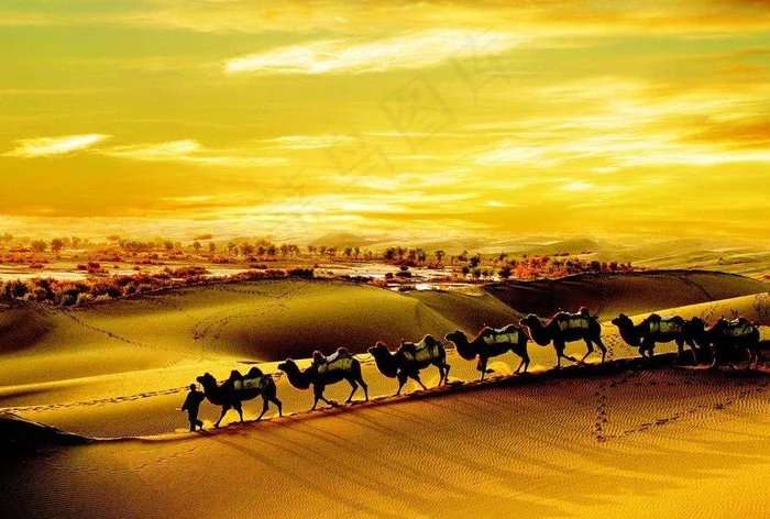 2018大气喜庆狗年新年AE视频模...