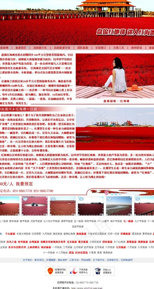 旅游网站模板图片