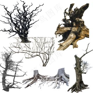 树干枯木朽木psd素材
