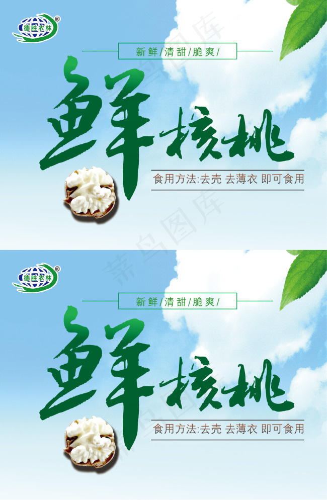 鲜核桃标签ai矢量模版下载