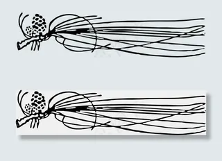松树的球果 针夹艺术
