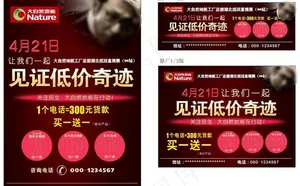 大自然地板报广宣传单页图片