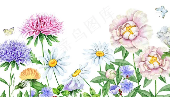 高清小清新手绘花卉8PSD素材