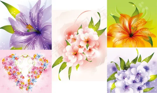 精美花朵——矢量素材 精美花朵——矢量素材