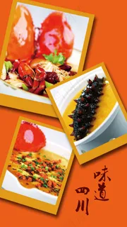 味道四川菜品 味道四川菜品