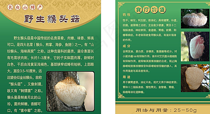 猴头菇名片图片