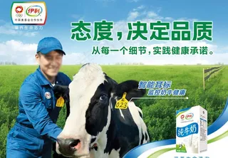 伊利不干胶图片