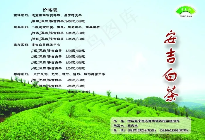 茶叶宣传单图片psd模版下载