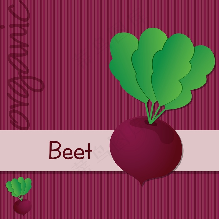 矢量格式的明亮的有机甜菜根卡