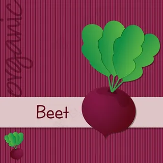 矢量格式的明亮的有机甜菜根卡