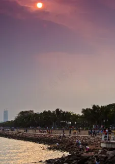 深圳湾图片 深圳湾图片