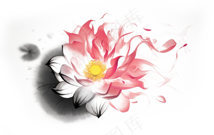 秋天水墨莲花蜻蜓